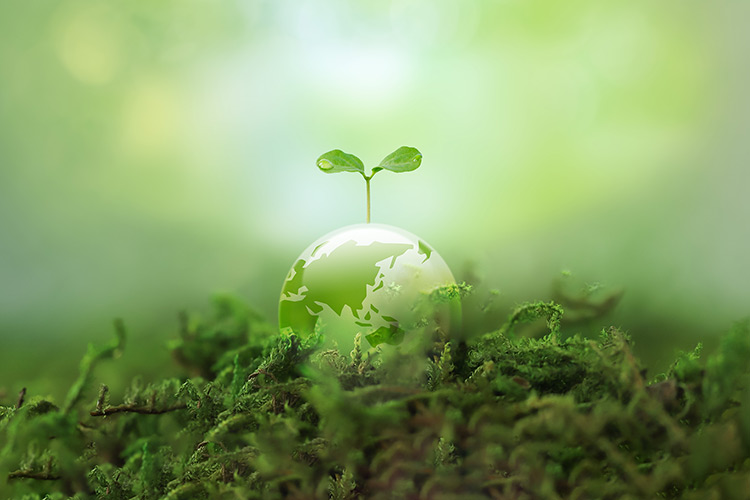 Environmental Care Upfitting Solutions